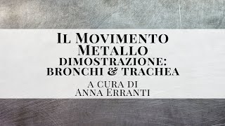 IL MOVIMENTO METALLO BRONCHI amp TRACHEA  La Riflessologia Plantare a cura di Anna Erranti [upl. by Jobey]