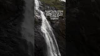 🦢🤍 palaruvi aruvi waterfallsounds waterfall water trendingshort trendingstatustrendingtrend [upl. by Debbie]