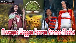 Ayyaana Waggaa ምርጥ የኦሮምኛ የአዲስ አመት በዓል ሙዚቃዎች እንቁጣጣሽ new oromo New Year music 2022 [upl. by Akcir]