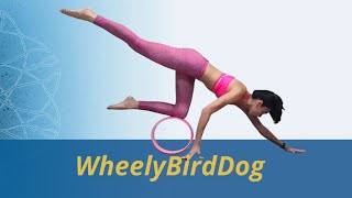 WheelyBirdDog [upl. by Eirehs]