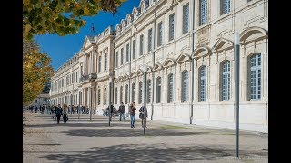 Université dAvignon et des Pays de Vaucluse  levier dinnovation et dattractivité du territoire [upl. by Adele213]