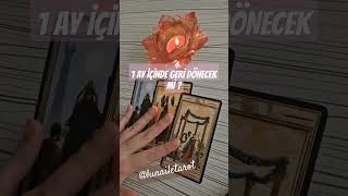 1 Ay içinde geri dönecek mi  tarot tarotreading tarotcards [upl. by Osyth948]