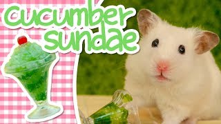 🥒 Cucumber Sundae  HAMSTER KITCHEN 🥒 [upl. by Kipper]