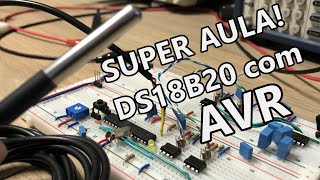 Sensor de Temperatura DS18B20 com Microcontrolador AVR programa em C passo a passo [upl. by Rodgiva275]