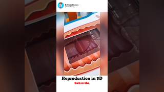 Reproduction in 3d Animation shorts [upl. by Rodama]