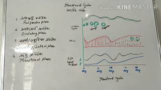 NTA NEET 2025 Latest Update  NEET 2025 Exam Date Out NEET25 Mode of Exam Explained  Seep Pahuja [upl. by Llehcsreh149]