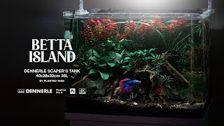 Easy planted BETTA TANK for beginners  Betta Splendens Tank Setup Tutorial [upl. by Hillier670]