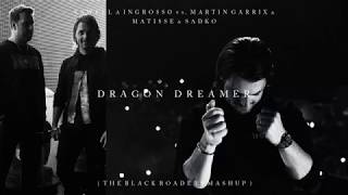 Axwell Λ Ingrosso vs Martin Garrix  Dragon Dreamer The Black Roaders Mashup [upl. by Orlov578]