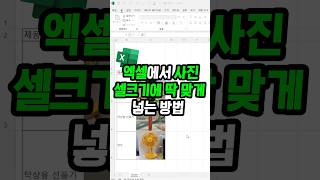 셀에 딱 맞게 이미지 넣는 방법 계속해서 수정 가능한 꿀팁 [upl. by Ignacius354]