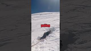 Skiers Life Saved After Falling Into Crevasse [upl. by Nwotna]