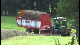 Urlaub auf dem Bauernhof Ein Erlebnistag auf dem Schorer Hof [upl. by Mann]