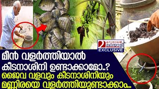 പാഴാക്കുന്ന ഭക്ഷണ സാധനങ്ങളില്‍ നിന്നും ജൈവകീടനാശിനി ഉണ്ടാക്കാം ഇങ്ങനെ I fish farming [upl. by Dickey709]