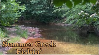 Multi species Creek Bank Fishing [upl. by Millda]