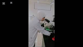 Activity of pharmacognosy 2 Quality control of herbal drug basil [upl. by Tildi]