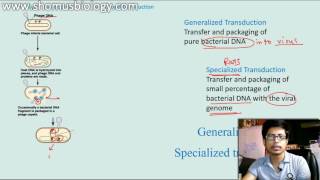 Generalized transduction vs Specialized Transduction [upl. by Leotie]