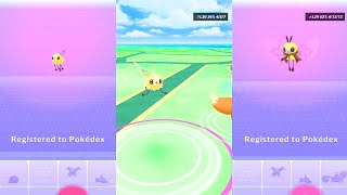 Pokemon Go Cutiefly Catch amp Ribombee Evolution  Spring Event [upl. by Fleisher]