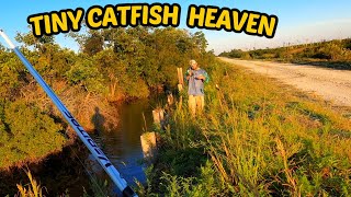 This Canal was Loaded with Bullhead CATFISH [upl. by Tine]