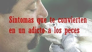 Síntomas que te convierten en un adicto a los peces [upl. by Alya]