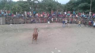 Corralejas en paraiso magdalena 2017 [upl. by Lledroc40]