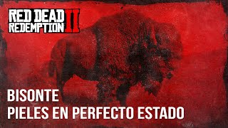 Red Dead Redemption 2  Bisonte Piel en Perfecto Estado [upl. by Yelrebma]