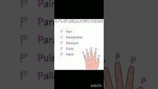 Circulatory checks viralshort biology allaboutnorcet humanbody science norcetstudytips nurse [upl. by Bikales]