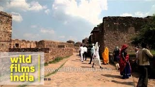 Visitors at Ranthambhore Fort  Rajasthan [upl. by Aneek606]