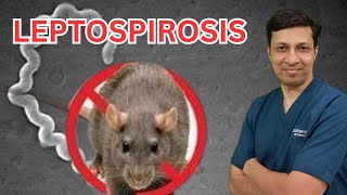 Leptospirosis lecture in hindi Leptospirosis treatment Weils disease in hindi [upl. by Ardnoet]