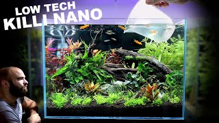 Nano Tank Tutorial LOW TECH Killifish Aquascape [upl. by Lazarus886]