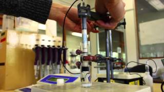 Chemistry  Ion Selective Electrode experiment [upl. by Eejan]