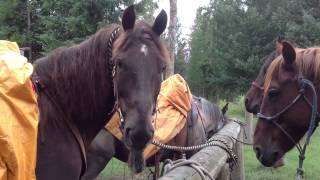 Ranch Academy Yellowstone Nat Park Montana USA [upl. by Bobette]