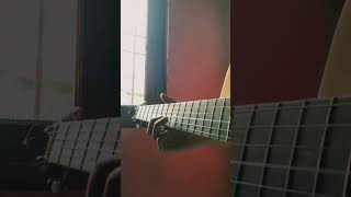 System Of A Down  Hypnotize guitar acousticguitar music guitarcover systemofadown coverviral [upl. by Alfi]