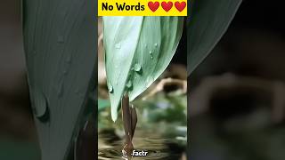 Unconditional Love❤️ Fish Rare Love❤️ shorts viral trending love fish rare [upl. by Nivrag571]