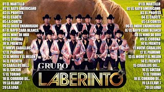 Los Mejores Corridos De Caballos De Laberinto Mix Éxitos  Grupo Laberinto Puros Corridos Caballos [upl. by Carmelita214]