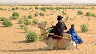 TOUAREG DE LADRAR DES IFHOGHAS [upl. by Charie]