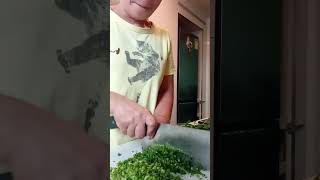 Chopping garlic chives this way youtubeshorts chopping slicing cuttingasmr asmr garlicchives [upl. by Jung415]