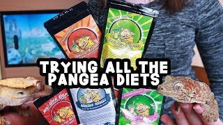 MY GECKOS REVIEW ALL THE PANGEA DIETS [upl. by Valer]