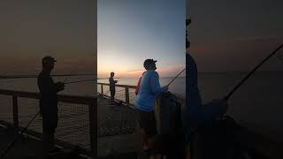 Live Navarre Beach Fishing Pier July 1st 2024 [upl. by Cloots]