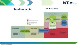 Nte webinar tendinopathie model Cook en Purdam 2016 [upl. by Cuda]