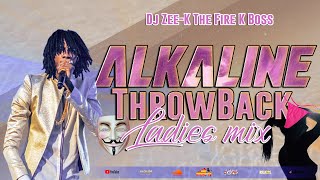 Alkaline Mix  Alkaline Throw Back Ladies Dancehall Mix 2023  100 Alkaline Female Songs [upl. by Worthington876]