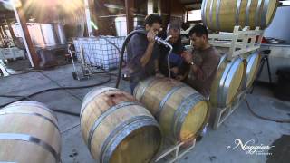 Vine to Wine Winemaking at Naggiar Vineyards [upl. by Htiel]