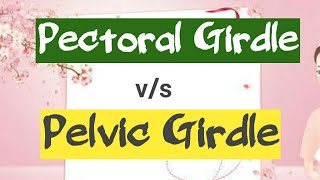 Pectoral girdle vs Pelvic girdle  Shoulder girdle vs Hip girdle [upl. by Ojimmas]