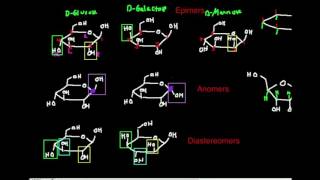 Carbohydrate Stereochemistry Epimers and Anomers [upl. by Cowley]