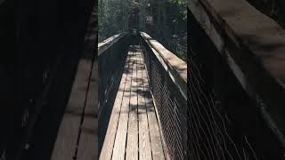 Swing Bridge at Ravine Gardens State Park Palatka Florida 2021 [upl. by Brew]