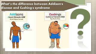 What Is Addisons Disease  How it Occurs  Definition History Prevalence Who It Affects  Part 1 [upl. by Noillid]