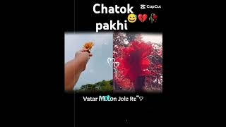 Chatok pakhi [upl. by Miguel]