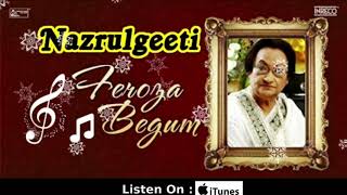 Path chalite Jodi  Nazrul Geeti By Feroza Begum  PARDESHI MEGH  Songs of Kazi Nazrul Islam [upl. by Leunammi103]