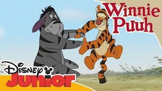 Kleine Abenteuer mit Winnie Puuh  Tigger und IAah  Disney Junior [upl. by Ilarin]