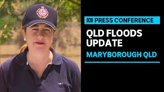 IN FULL Search launched for a 52yearold man missing in QLD floods  ABC News [upl. by Ahtekahs174]