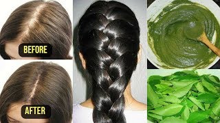 Secret Tricks to Stop Hair Loss in 4 Natural Ways and Regrow Hair for Men amp Women [upl. by Ahsikel406]