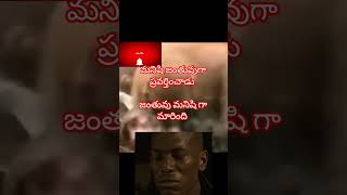 human nature  మనిషి ప్రవర్తన  humananimal  viral shorts [upl. by Oivlis]